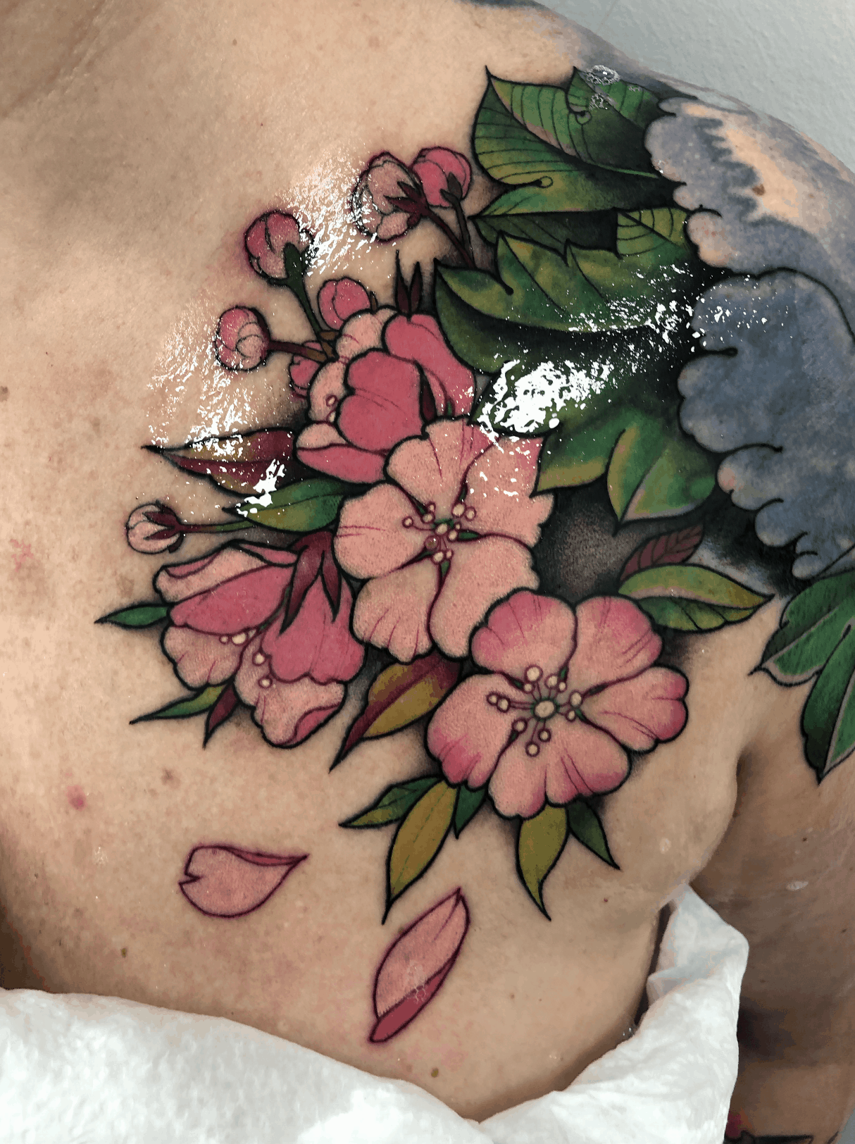 sakura-tattoo-cover